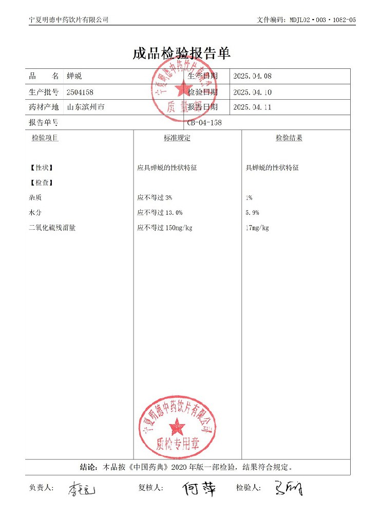 2504158蟬蛻.jpg